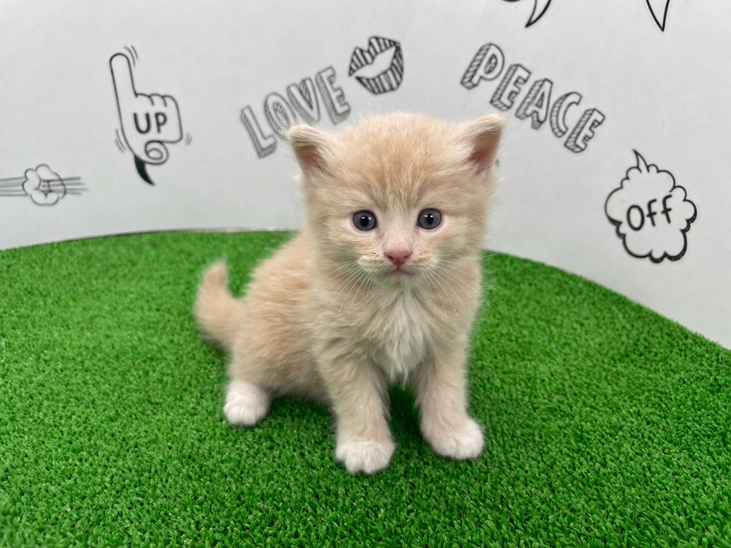 赤ちゃん写真2-1