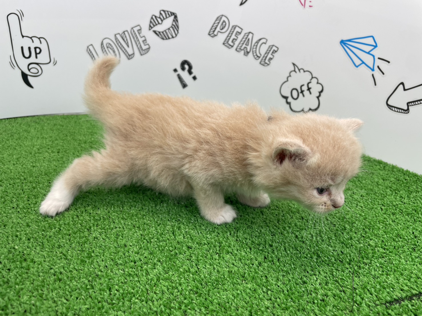 赤ちゃん写真2-2