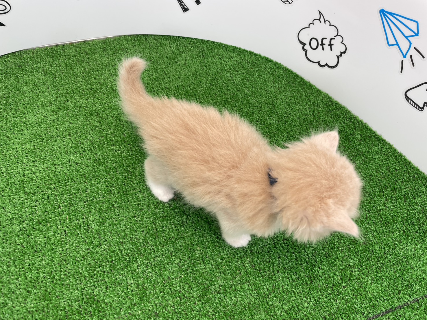 赤ちゃん写真2-3