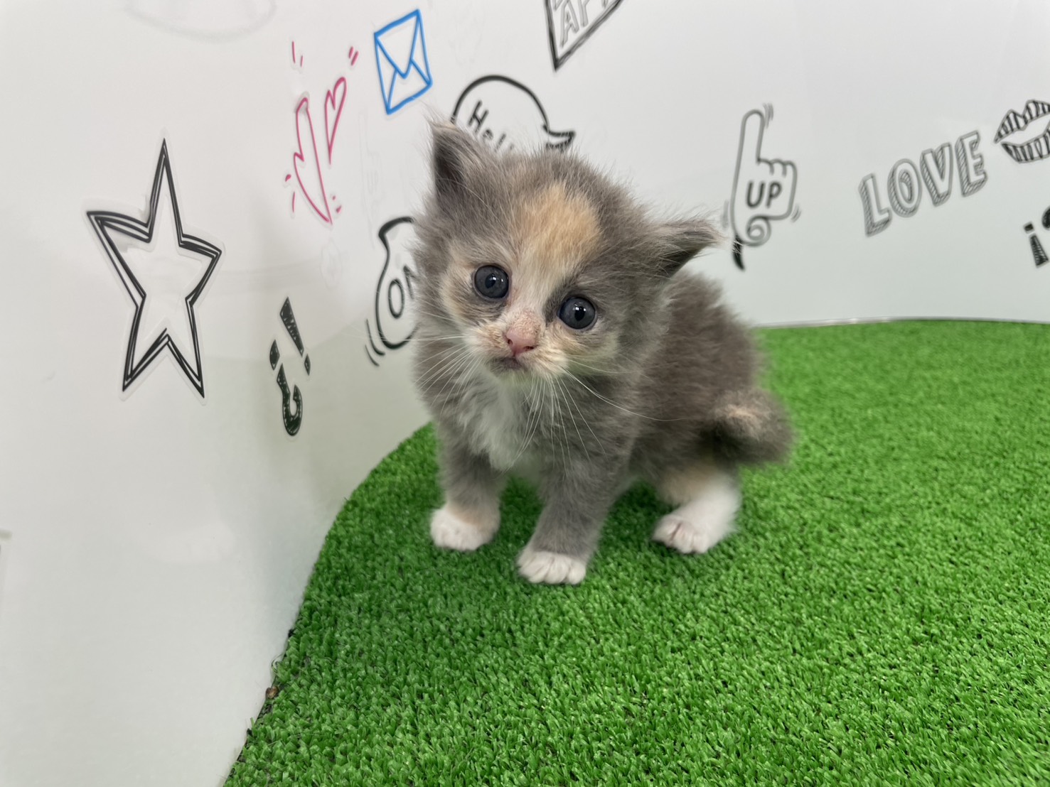 赤ちゃん写真2-1