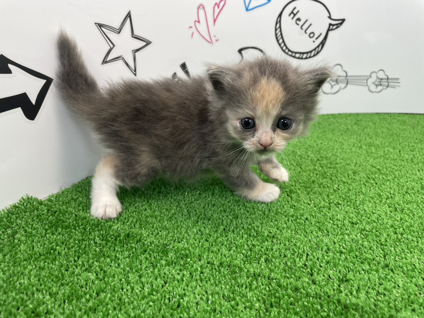赤ちゃん写真2-2