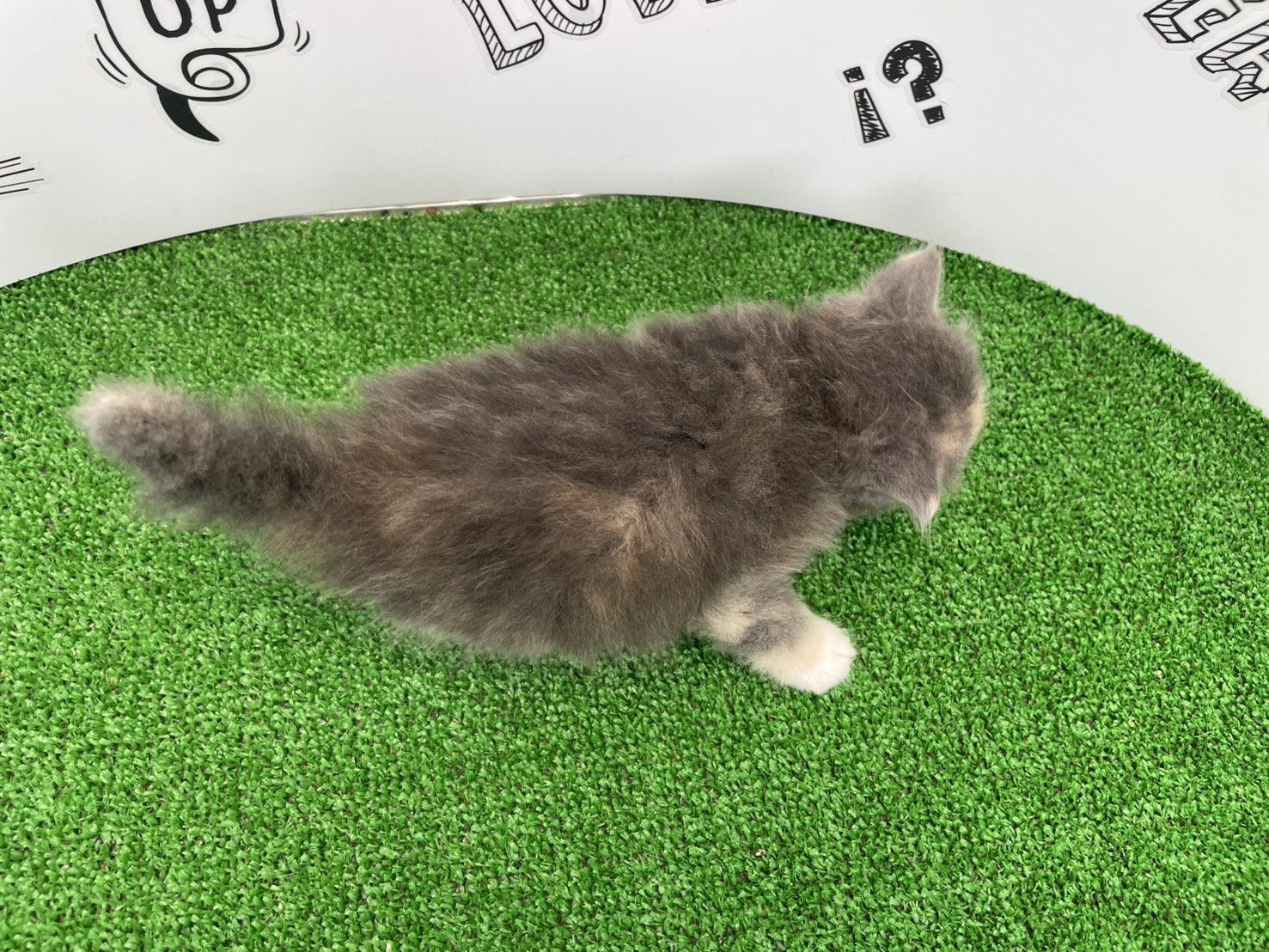 赤ちゃん写真2-3