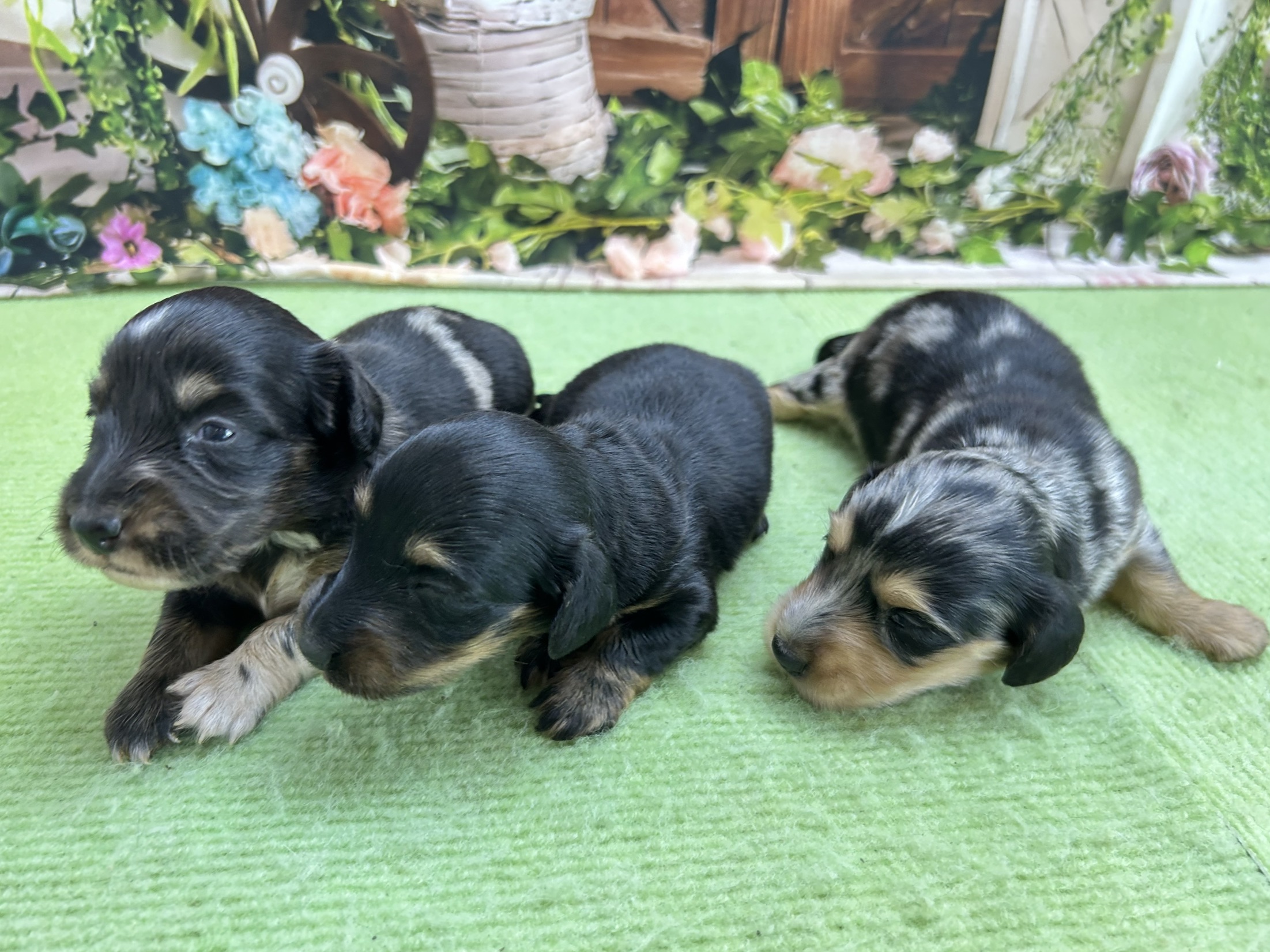 赤ちゃん写真1-3