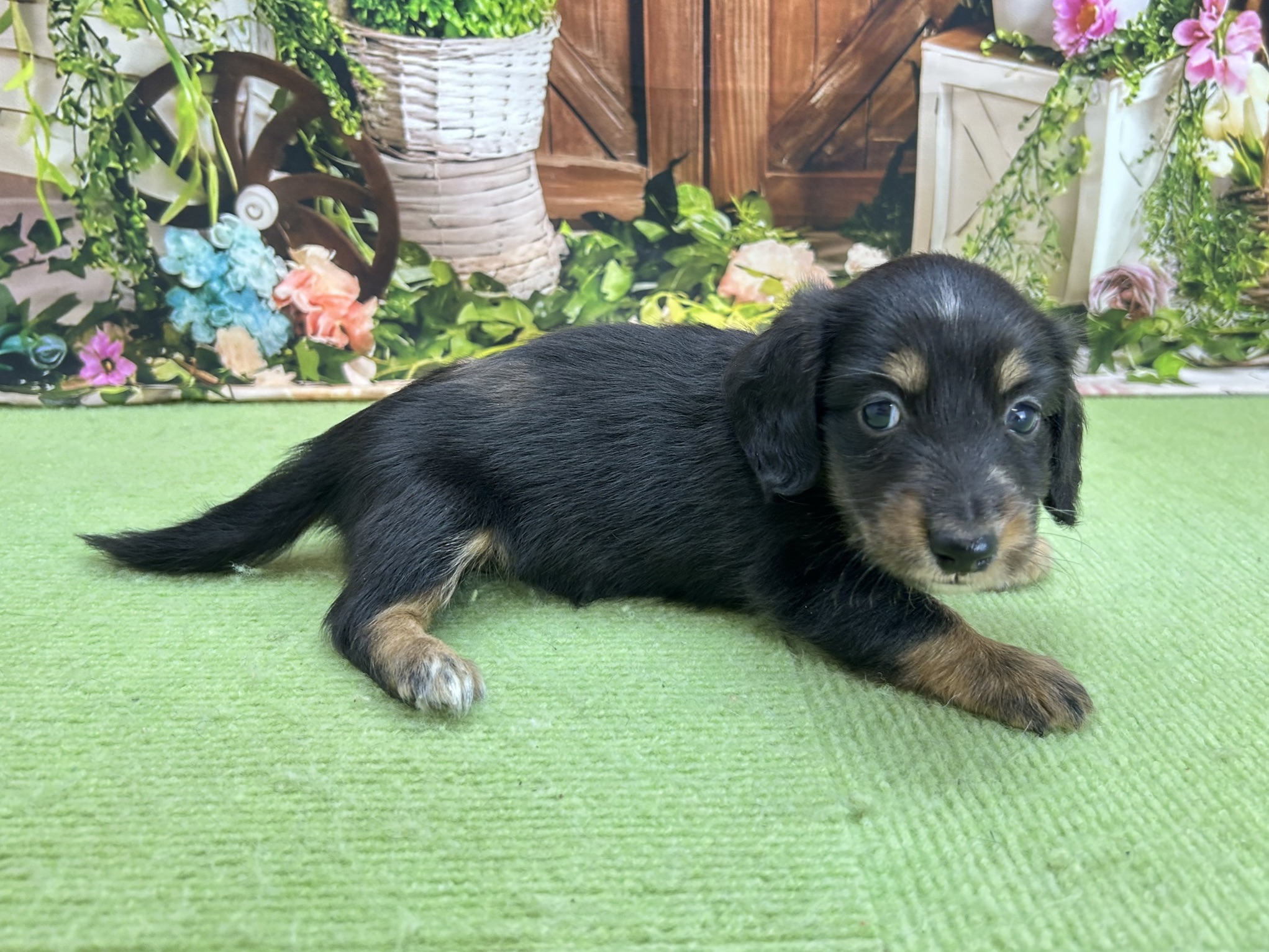 赤ちゃん写真2-2