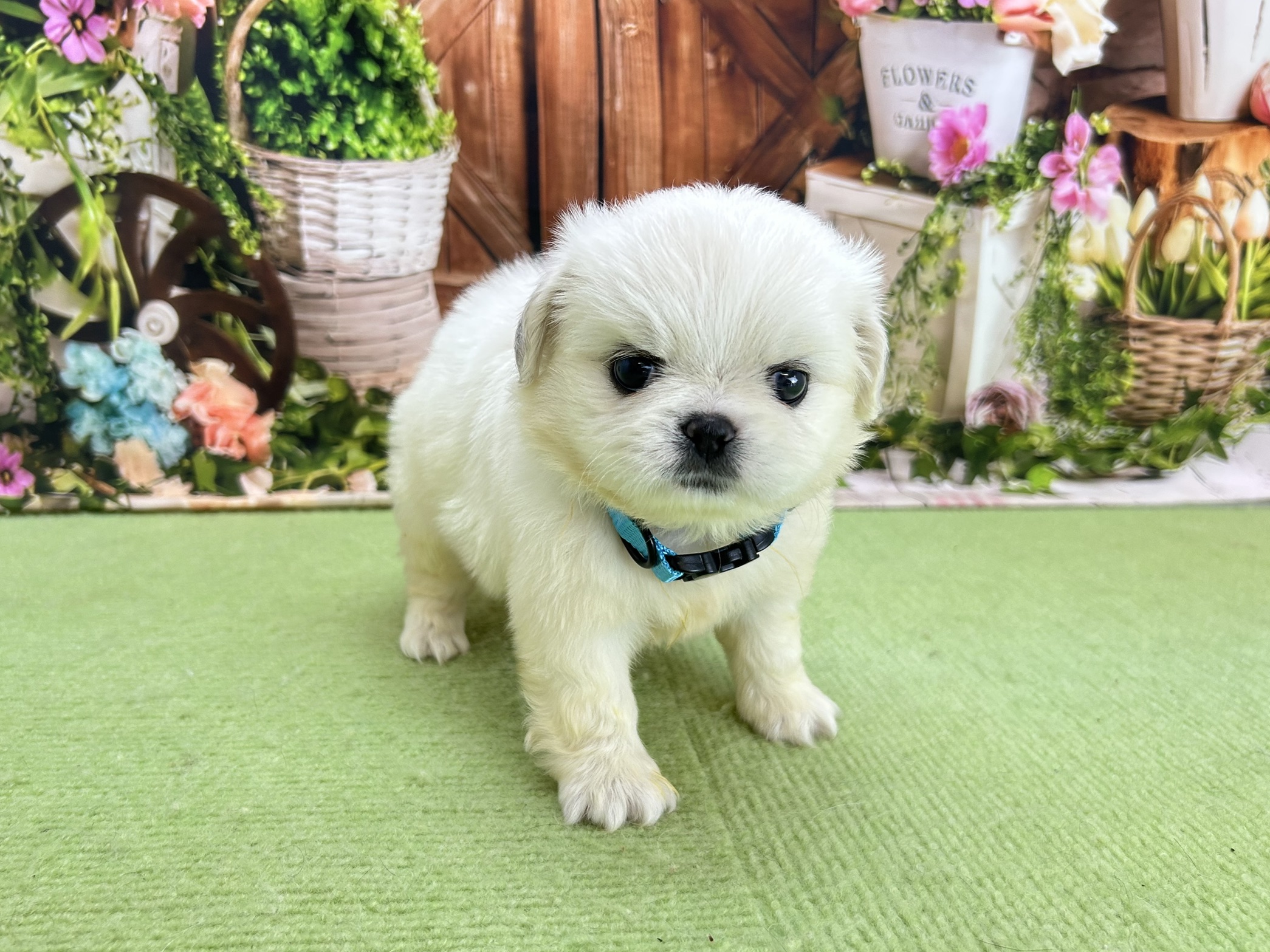 赤ちゃん写真2-1
