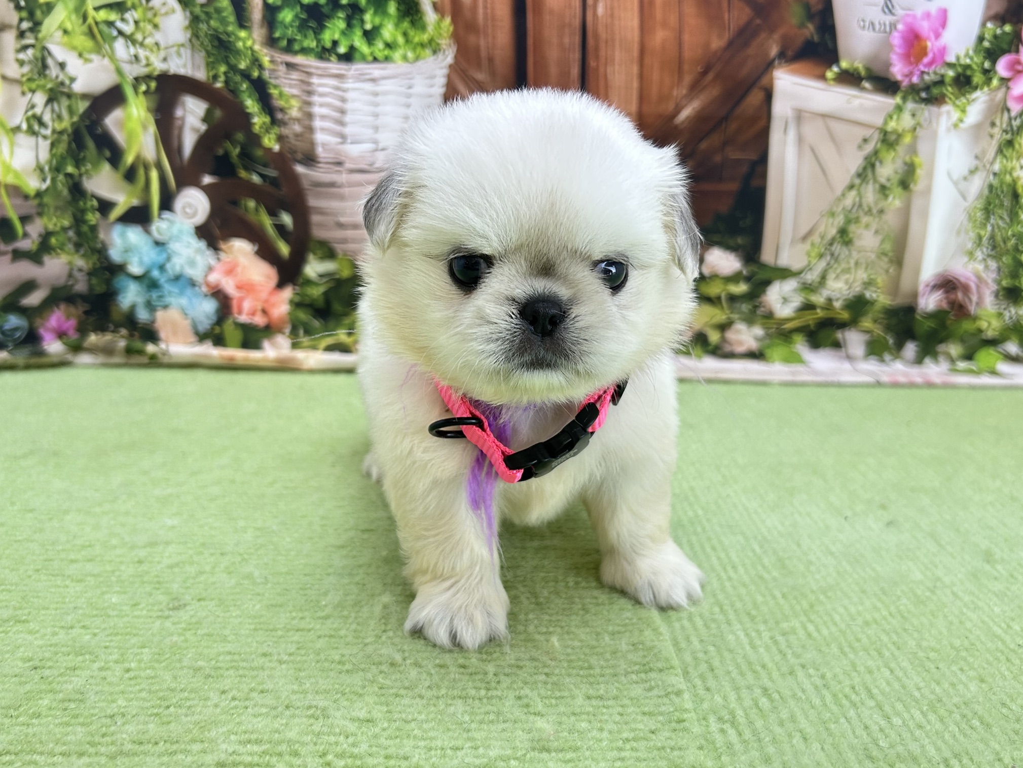 赤ちゃん写真2-1