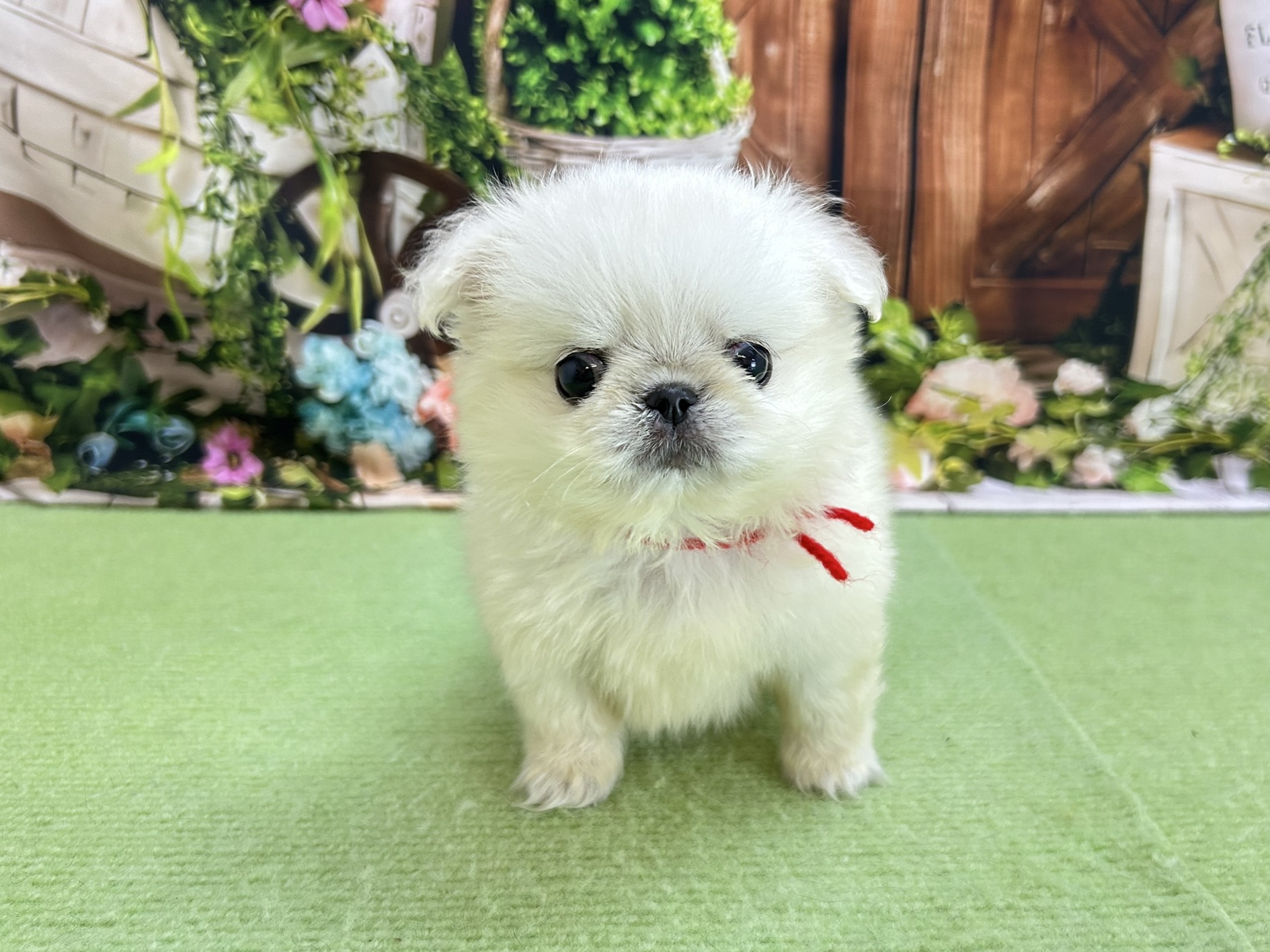 赤ちゃん写真3-1