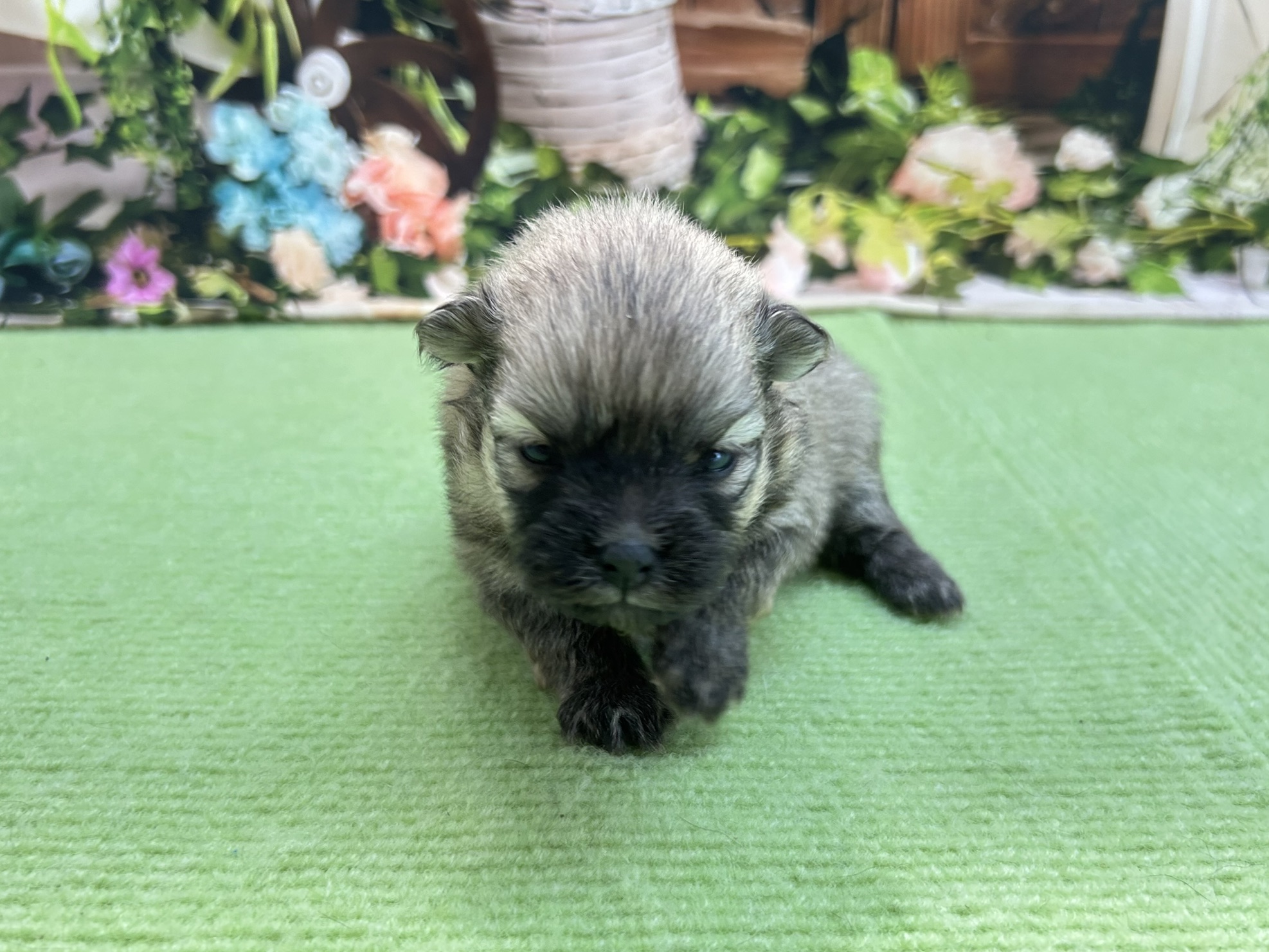 赤ちゃん写真1-1