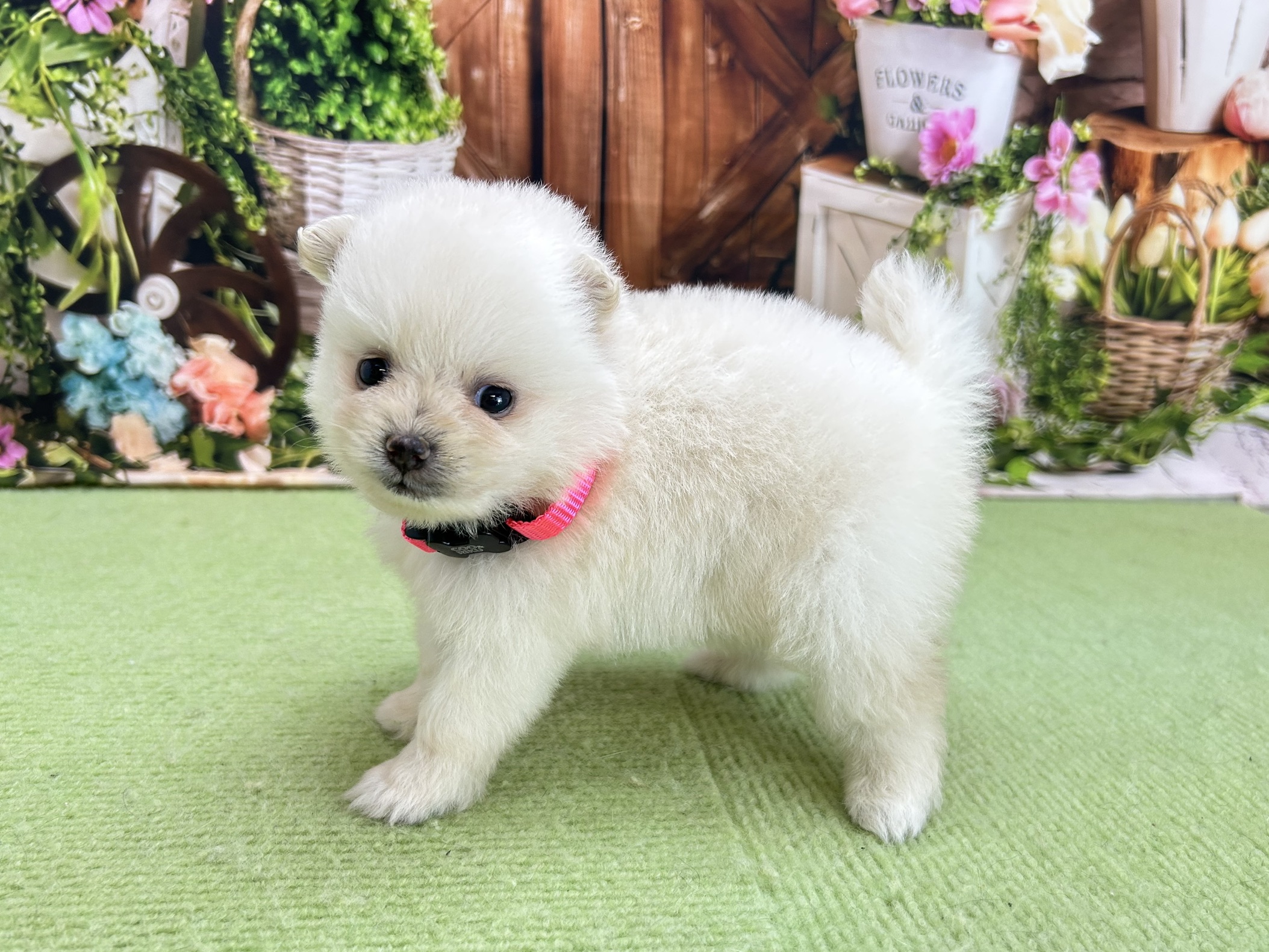 赤ちゃん写真2-2