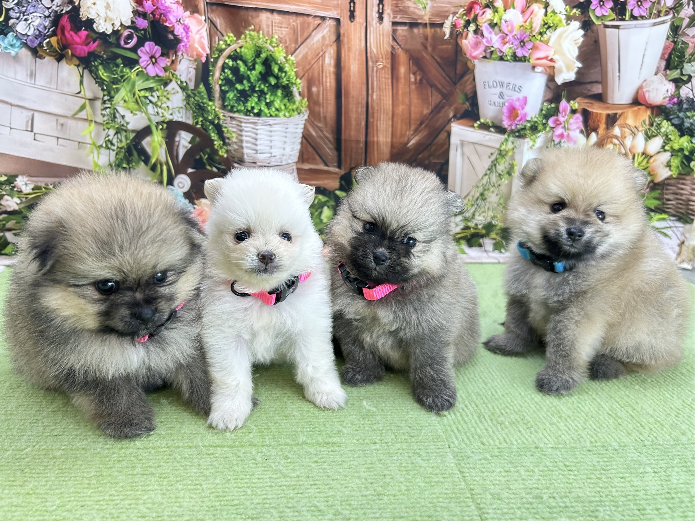赤ちゃん写真2-3