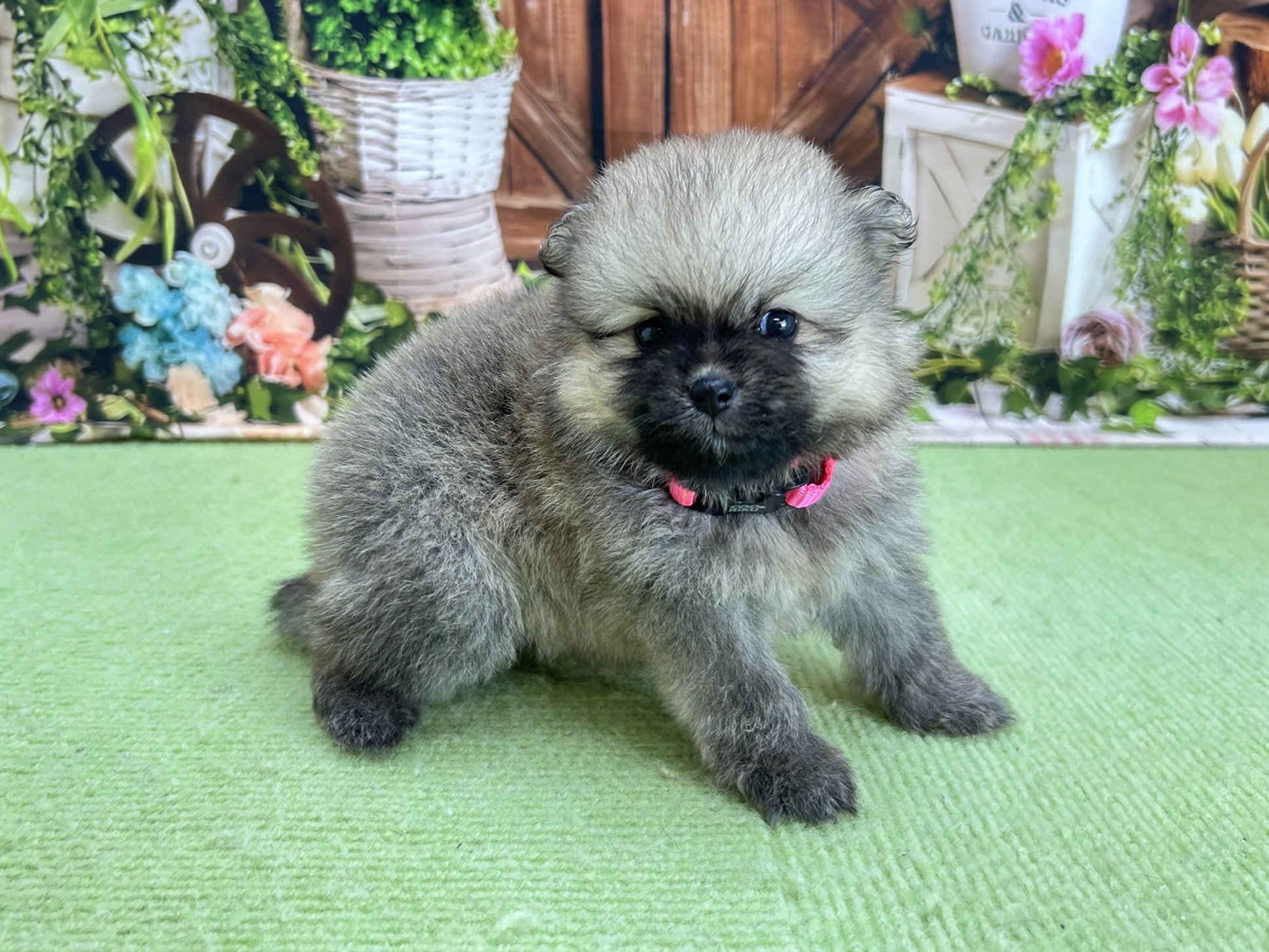 赤ちゃん写真2-2