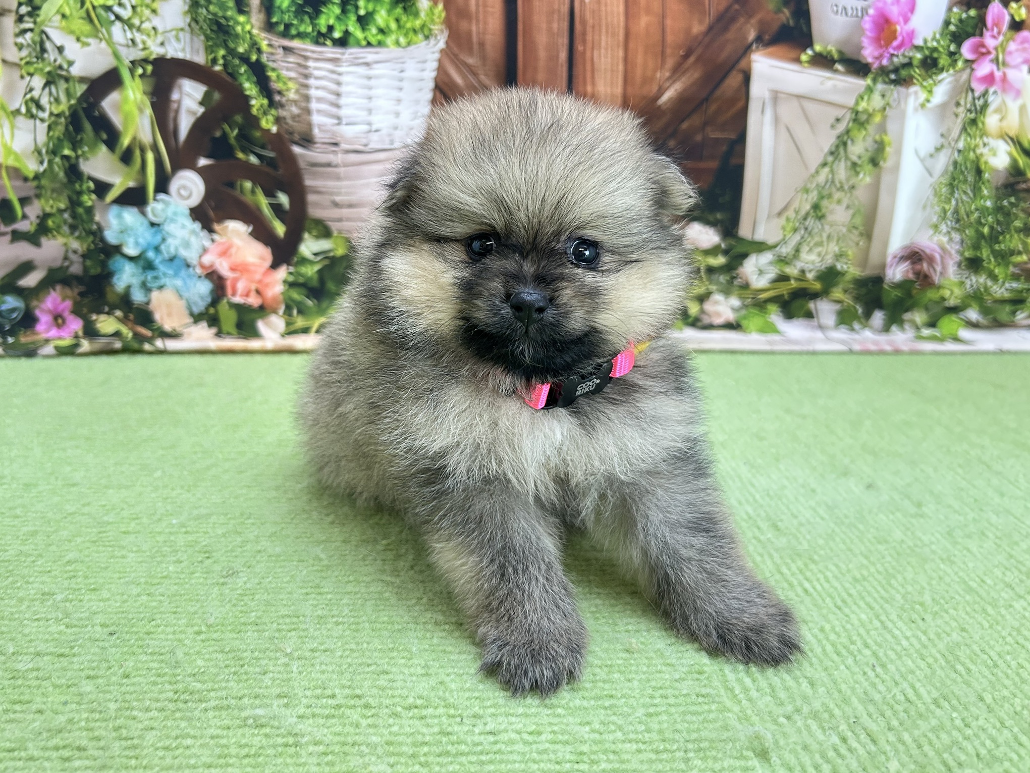 赤ちゃん写真2-1