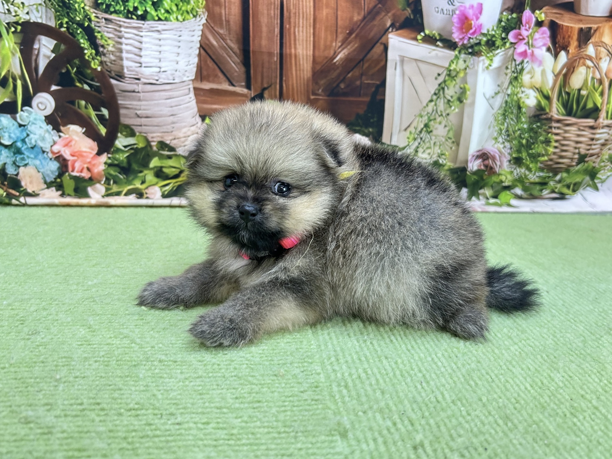 赤ちゃん写真2-2