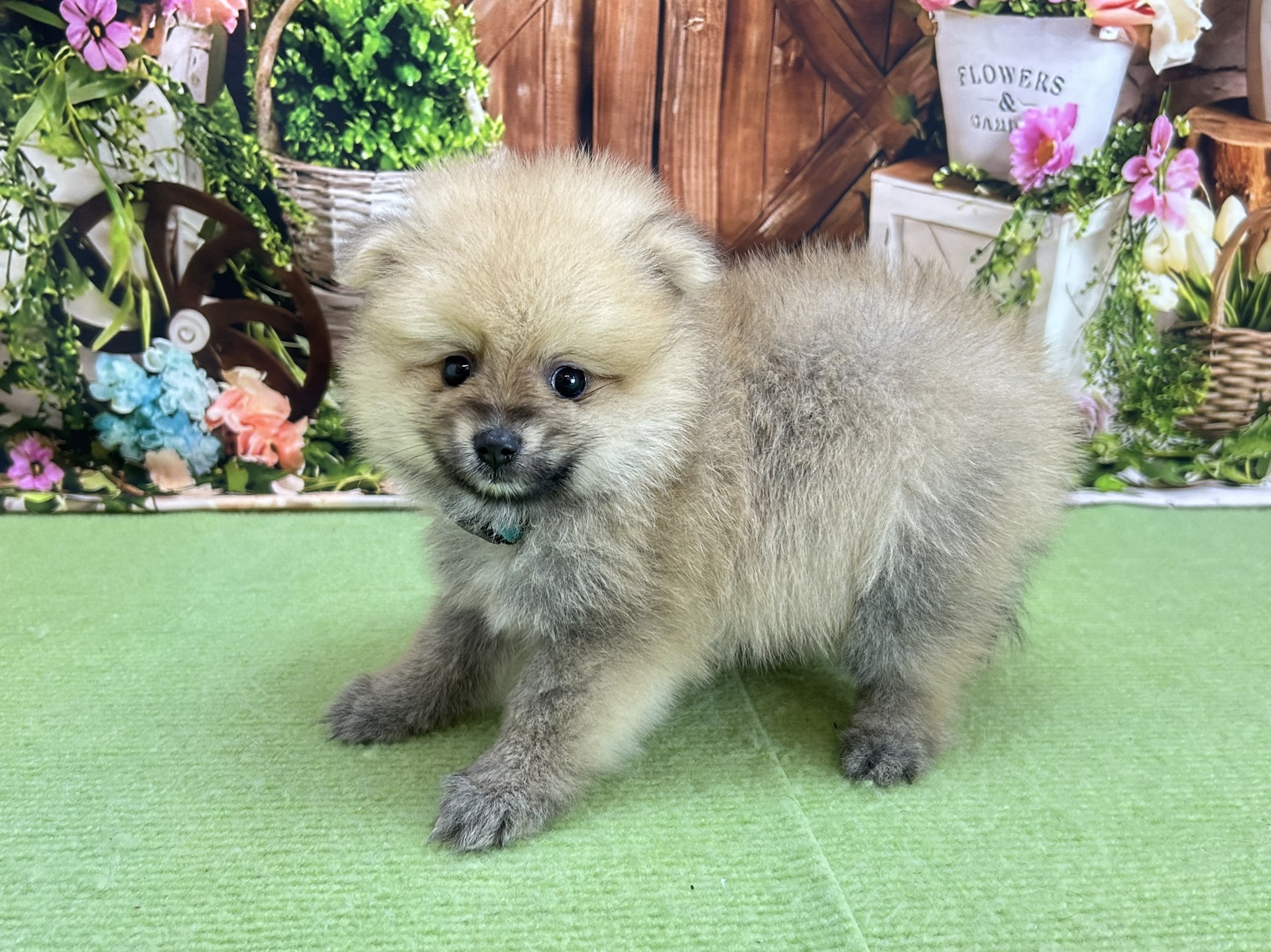 赤ちゃん写真3-2