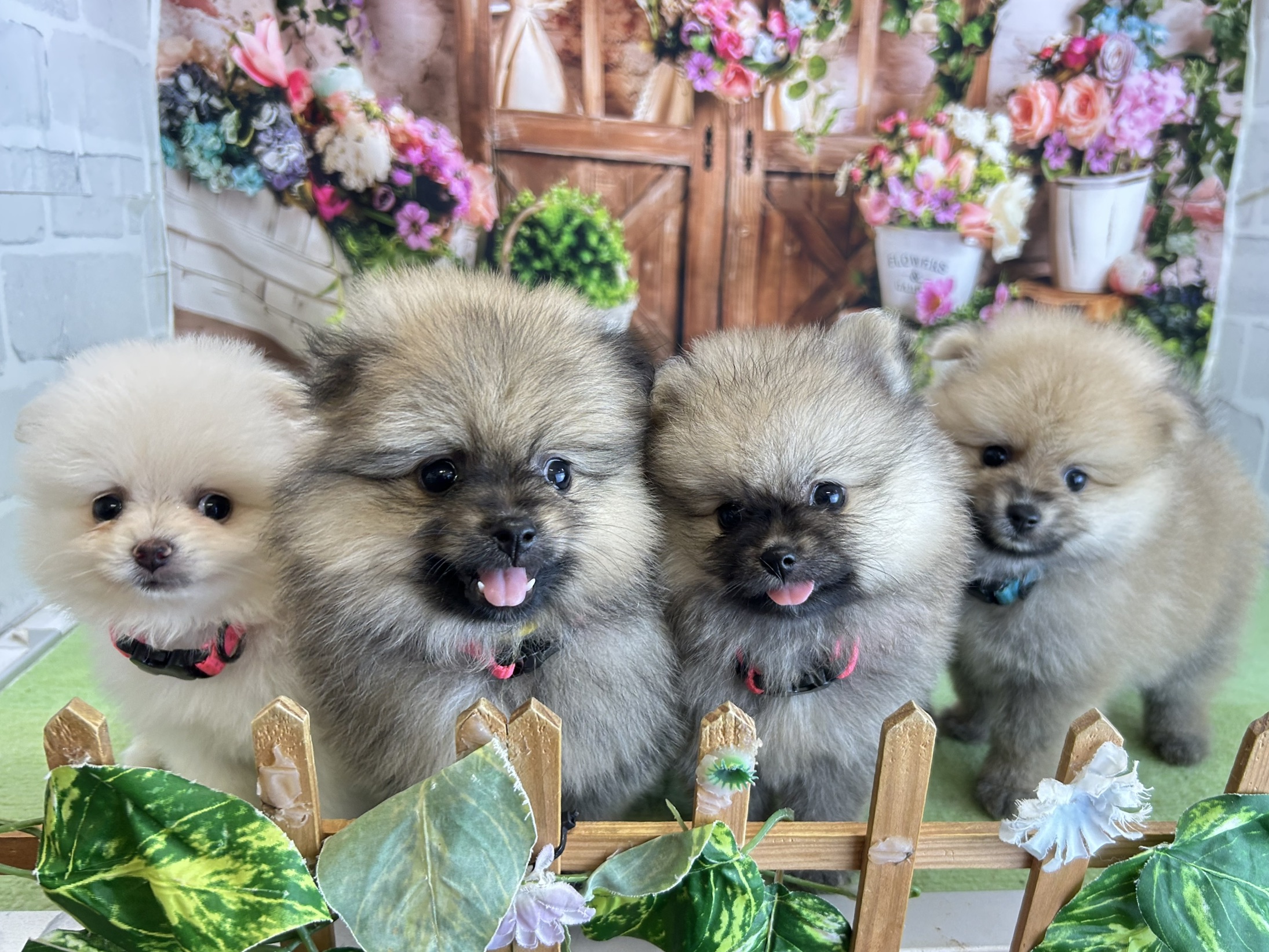 赤ちゃん写真3-3