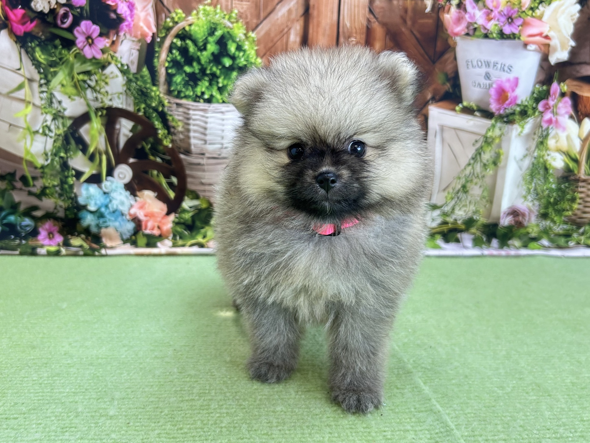 赤ちゃん写真3-1