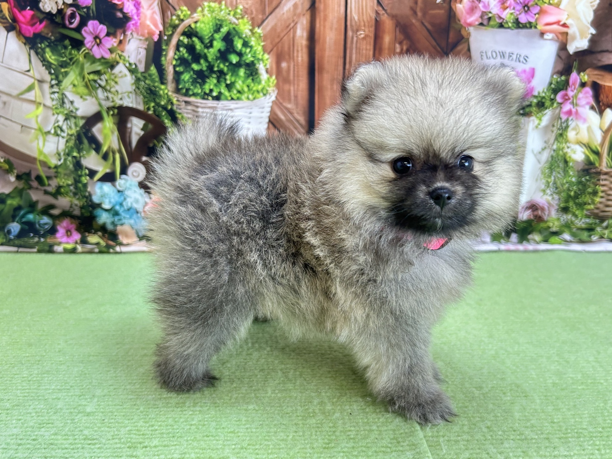 赤ちゃん写真3-2