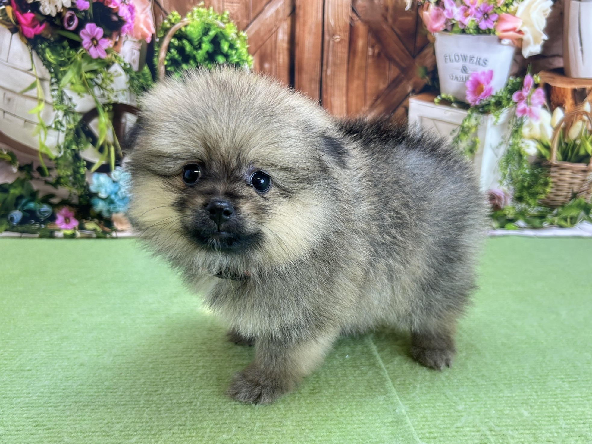 赤ちゃん写真3-2