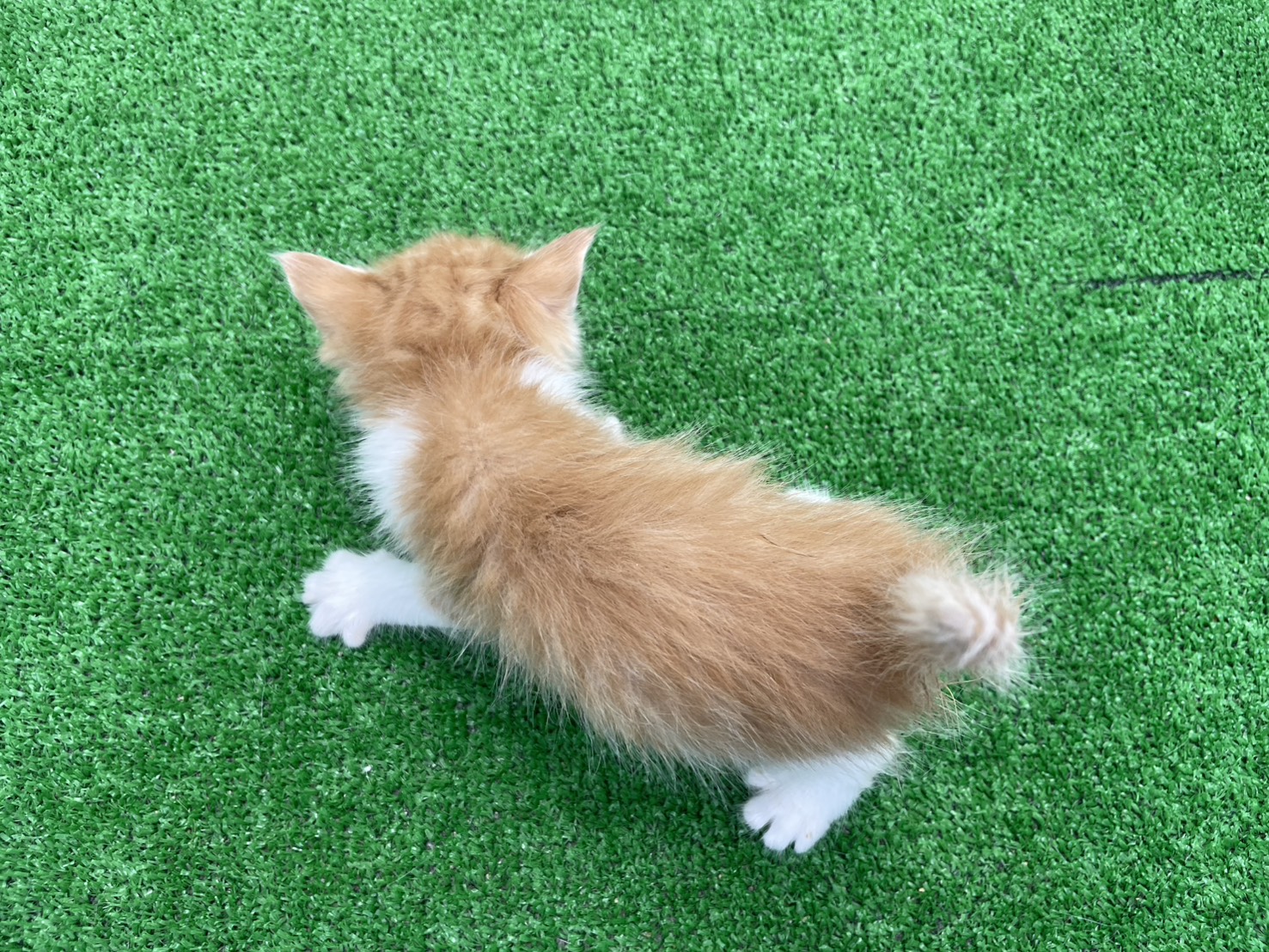赤ちゃん写真2-3