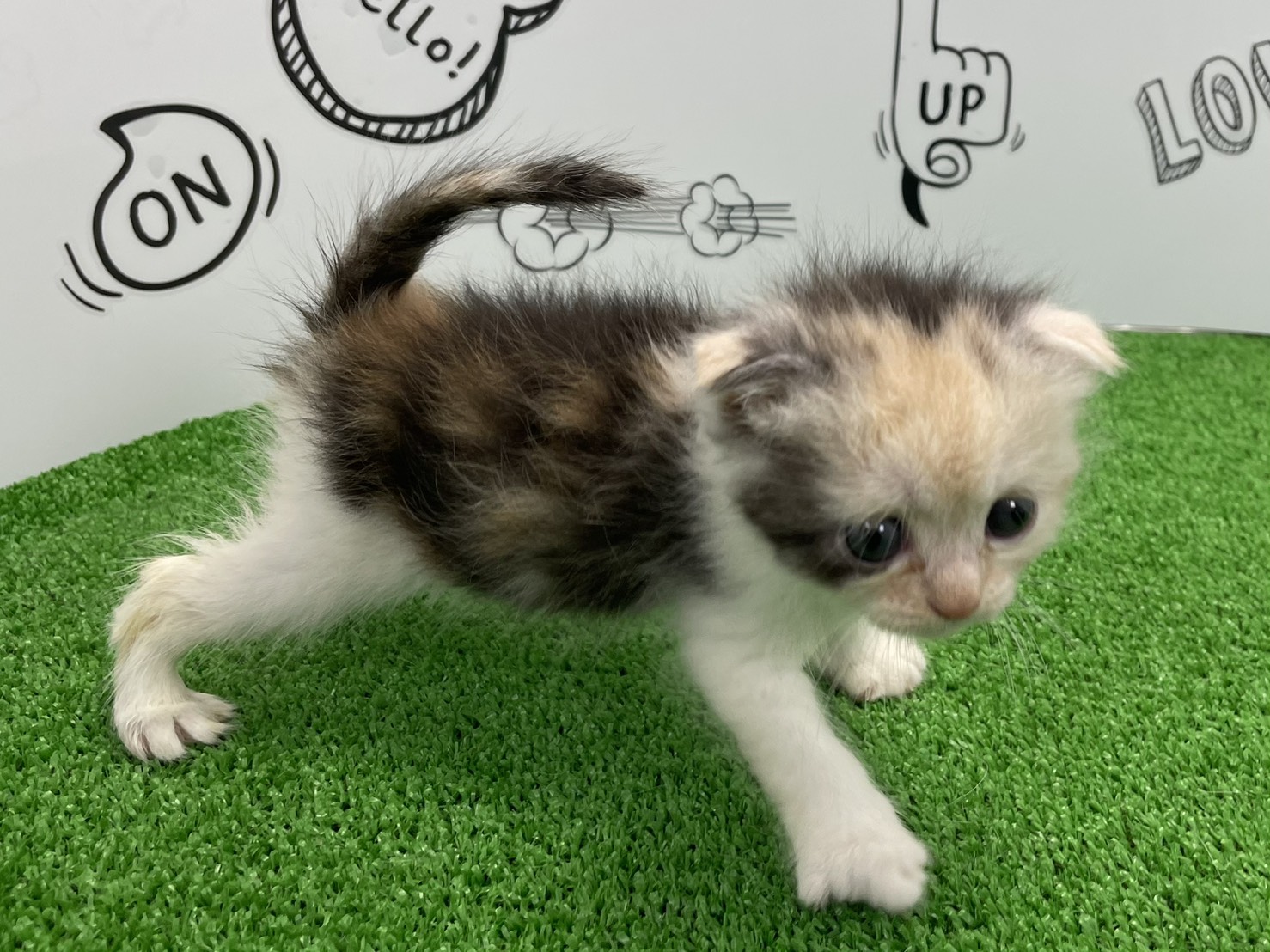 赤ちゃん写真2-2