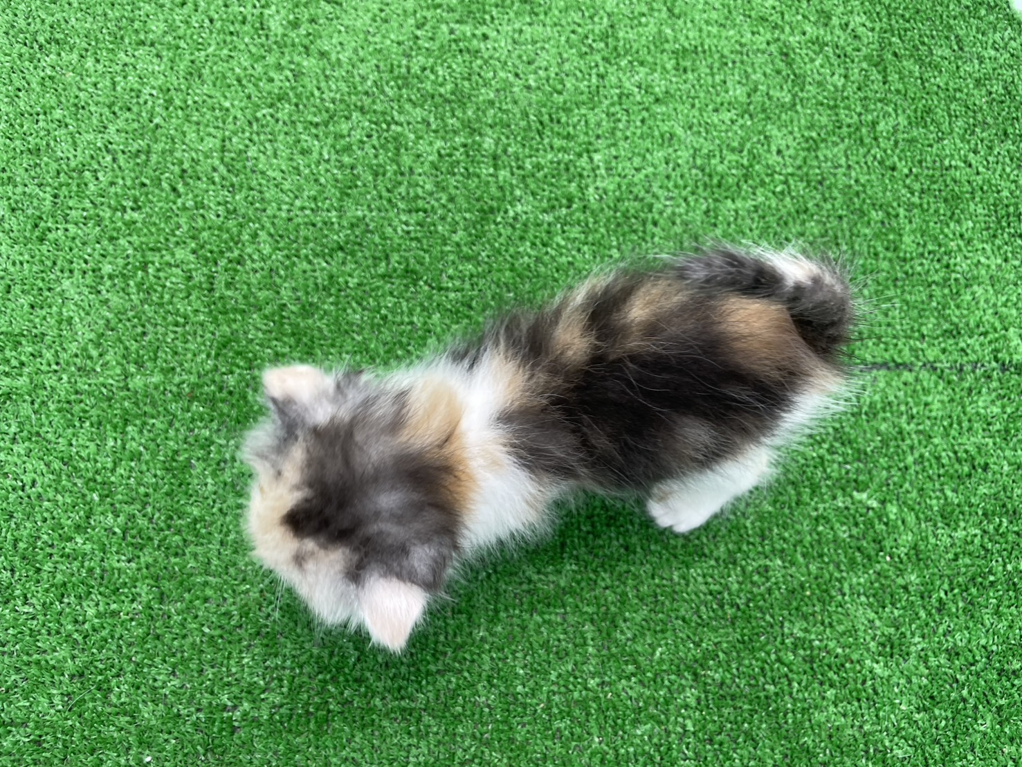 赤ちゃん写真2-3