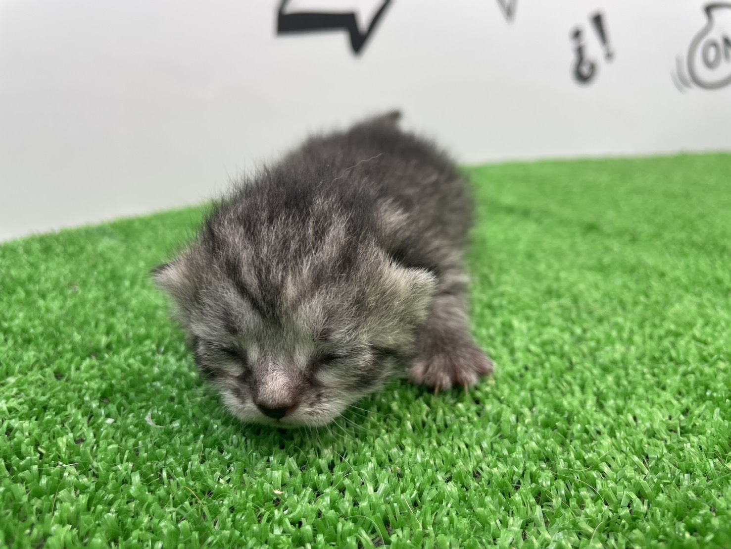 赤ちゃん写真1-1