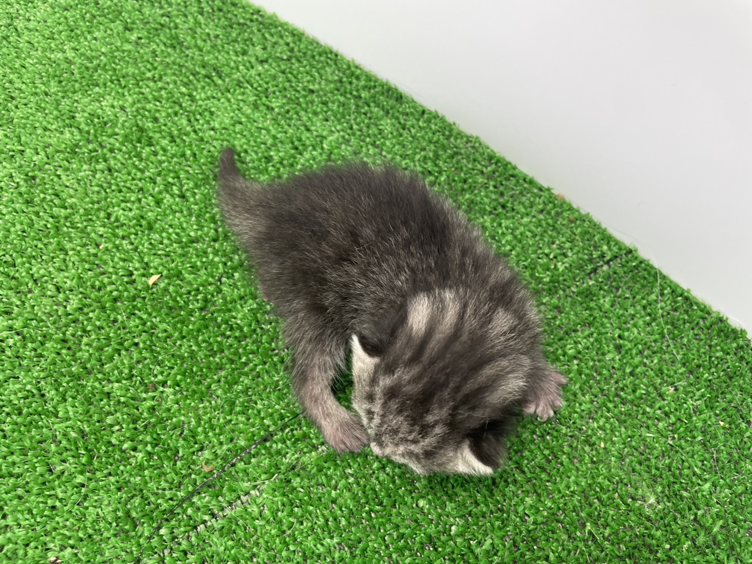 赤ちゃん写真1-3