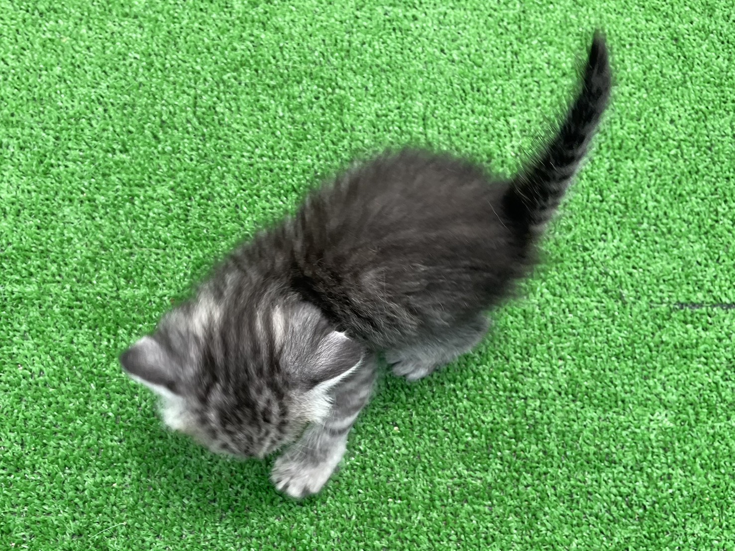 赤ちゃん写真2-3