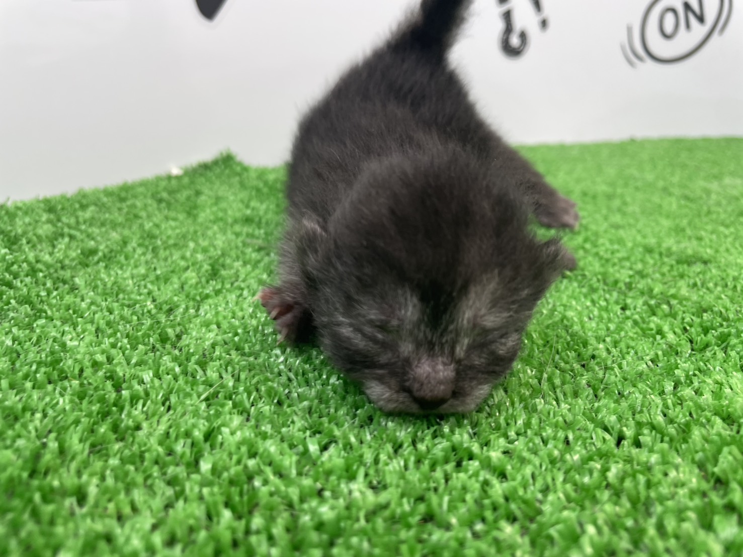 赤ちゃん写真1-1