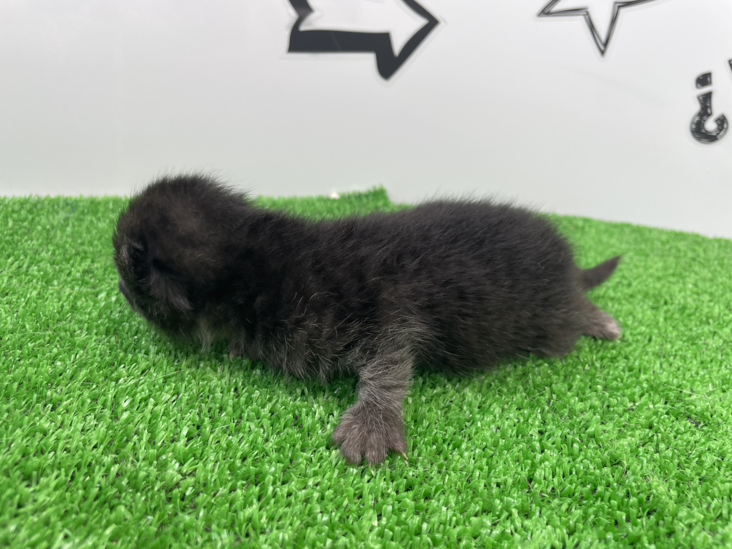 赤ちゃん写真1-2