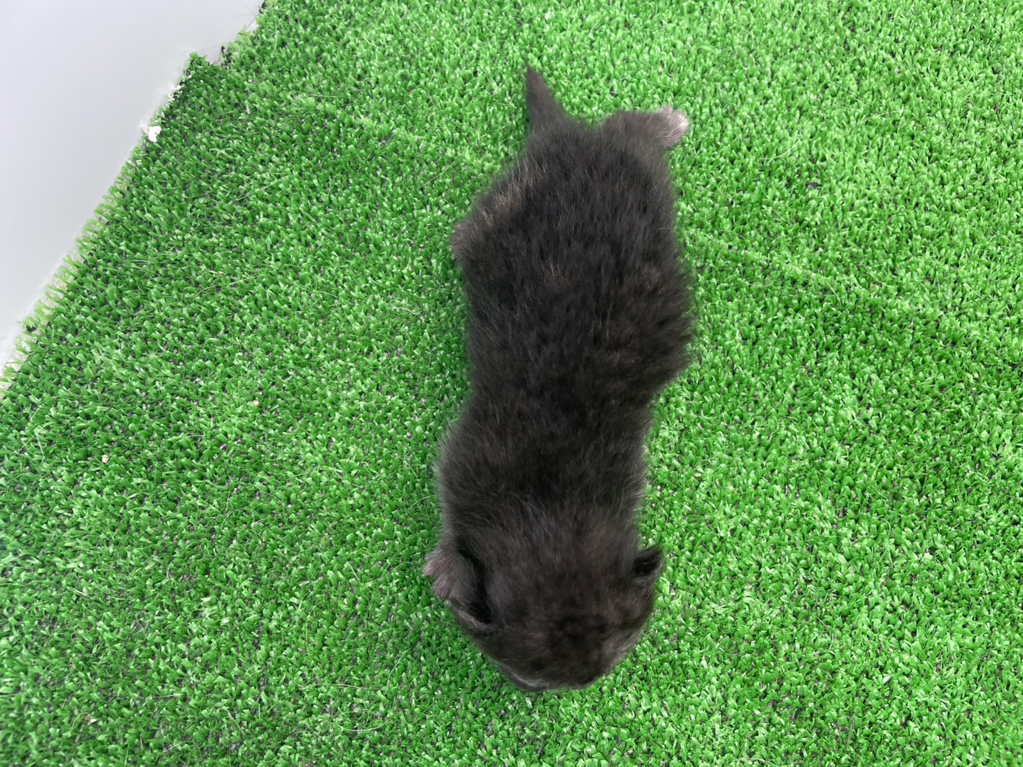 赤ちゃん写真1-3