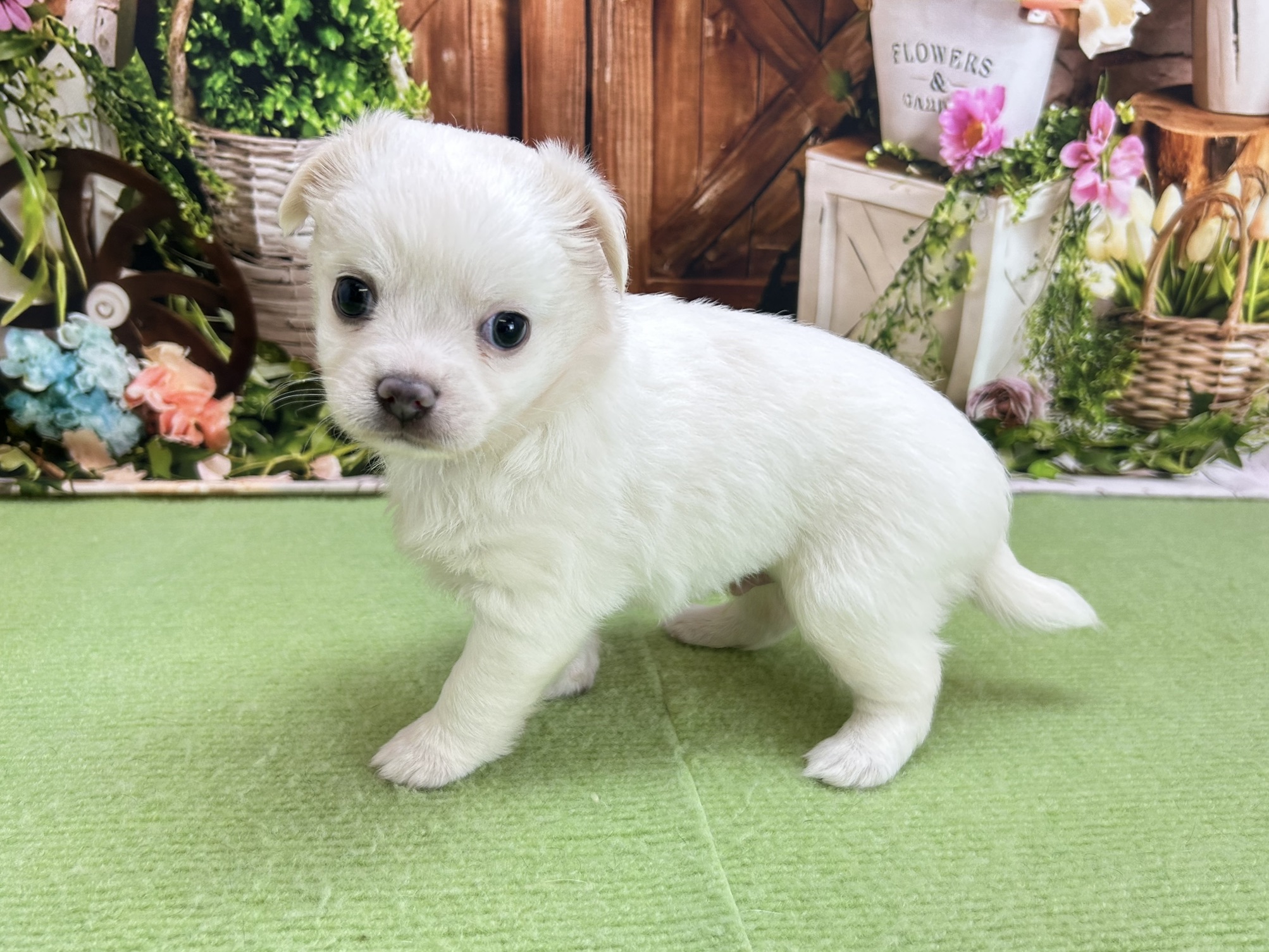 赤ちゃん写真2-2
