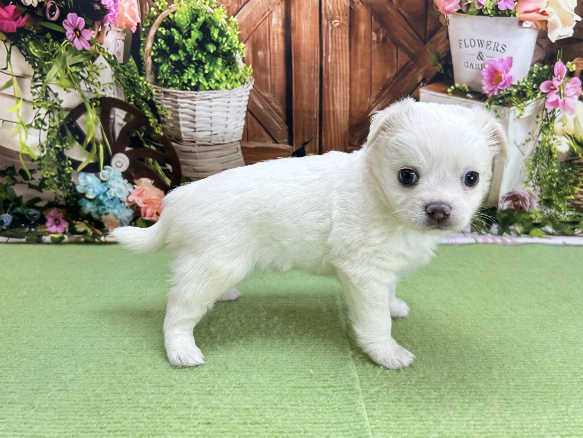 赤ちゃん写真2-3