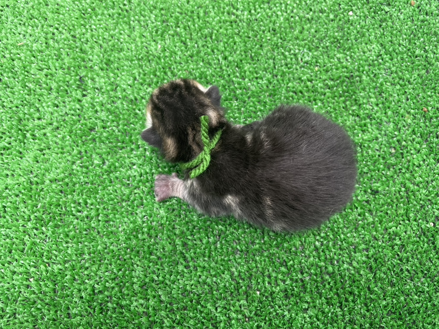 赤ちゃん写真1-3