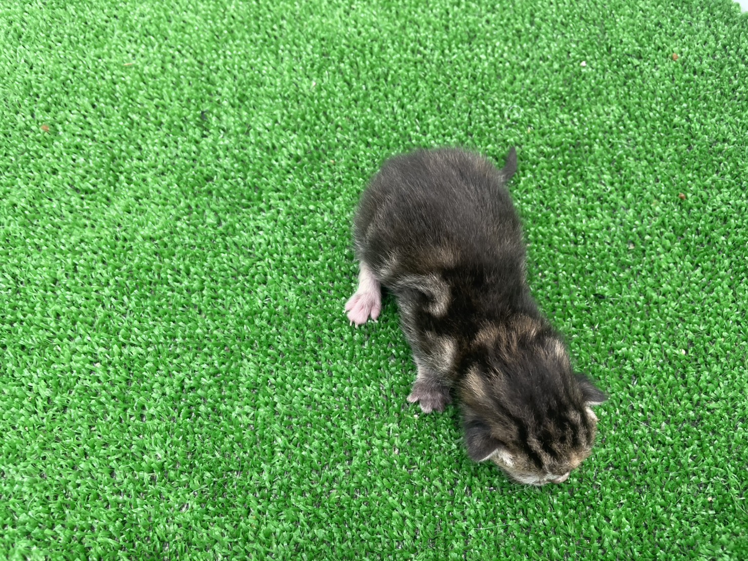 赤ちゃん写真1-3
