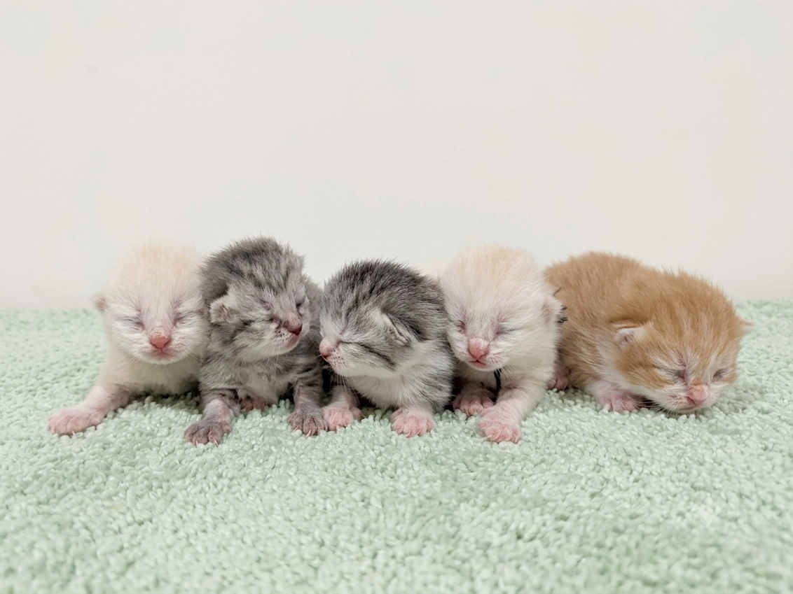 赤ちゃん写真1-3