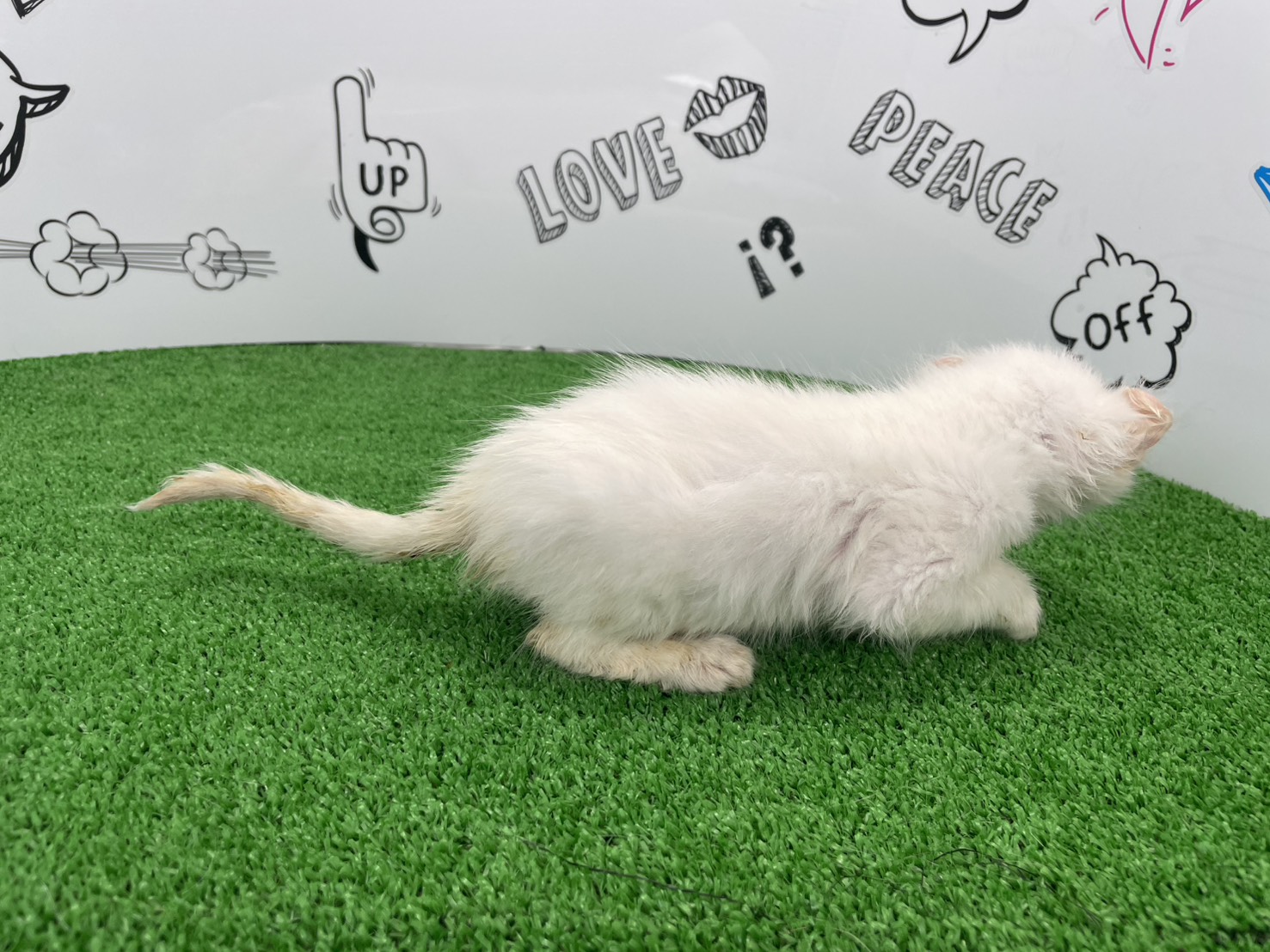 赤ちゃん写真2-2
