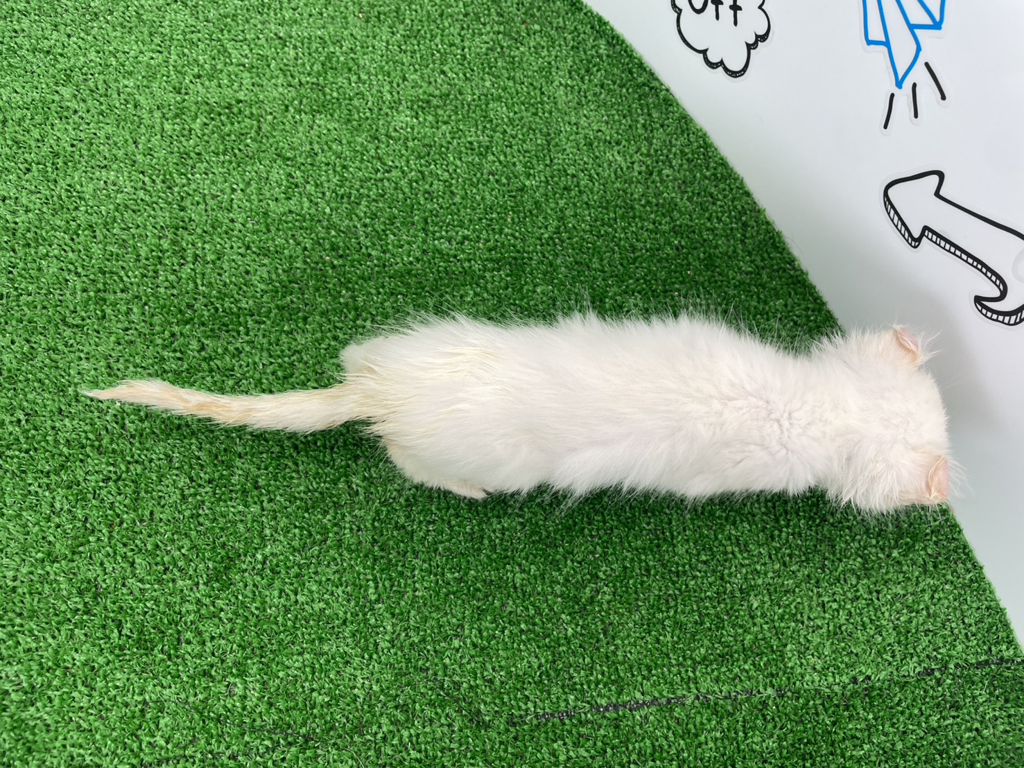 赤ちゃん写真2-3
