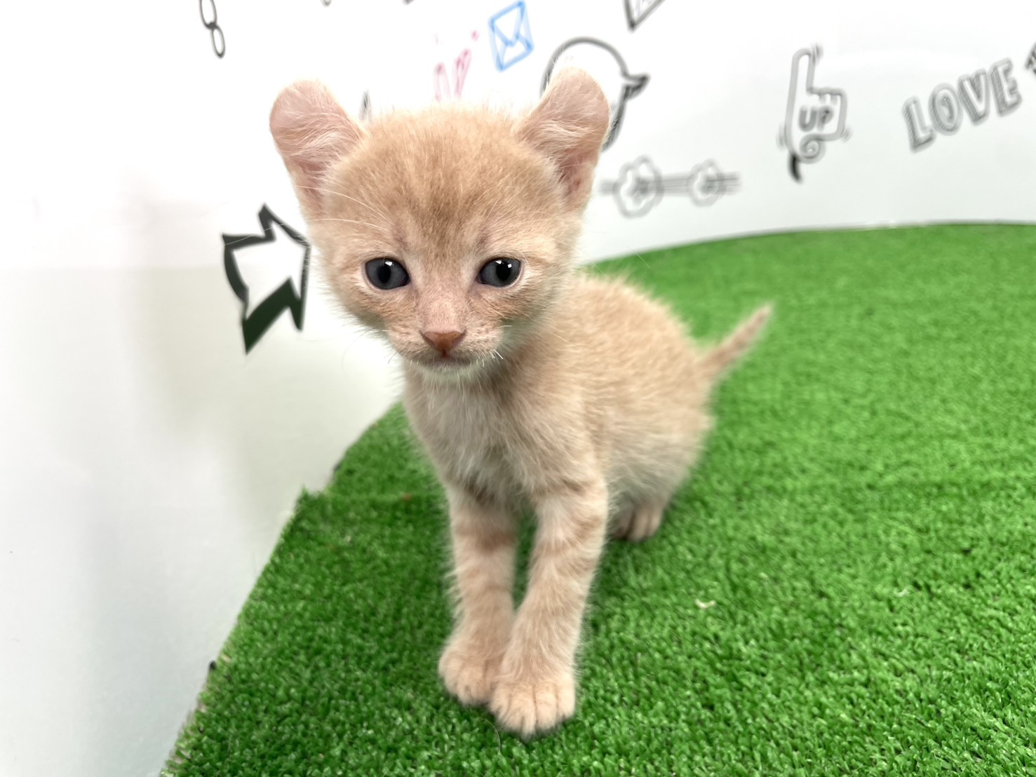 赤ちゃん写真2-1