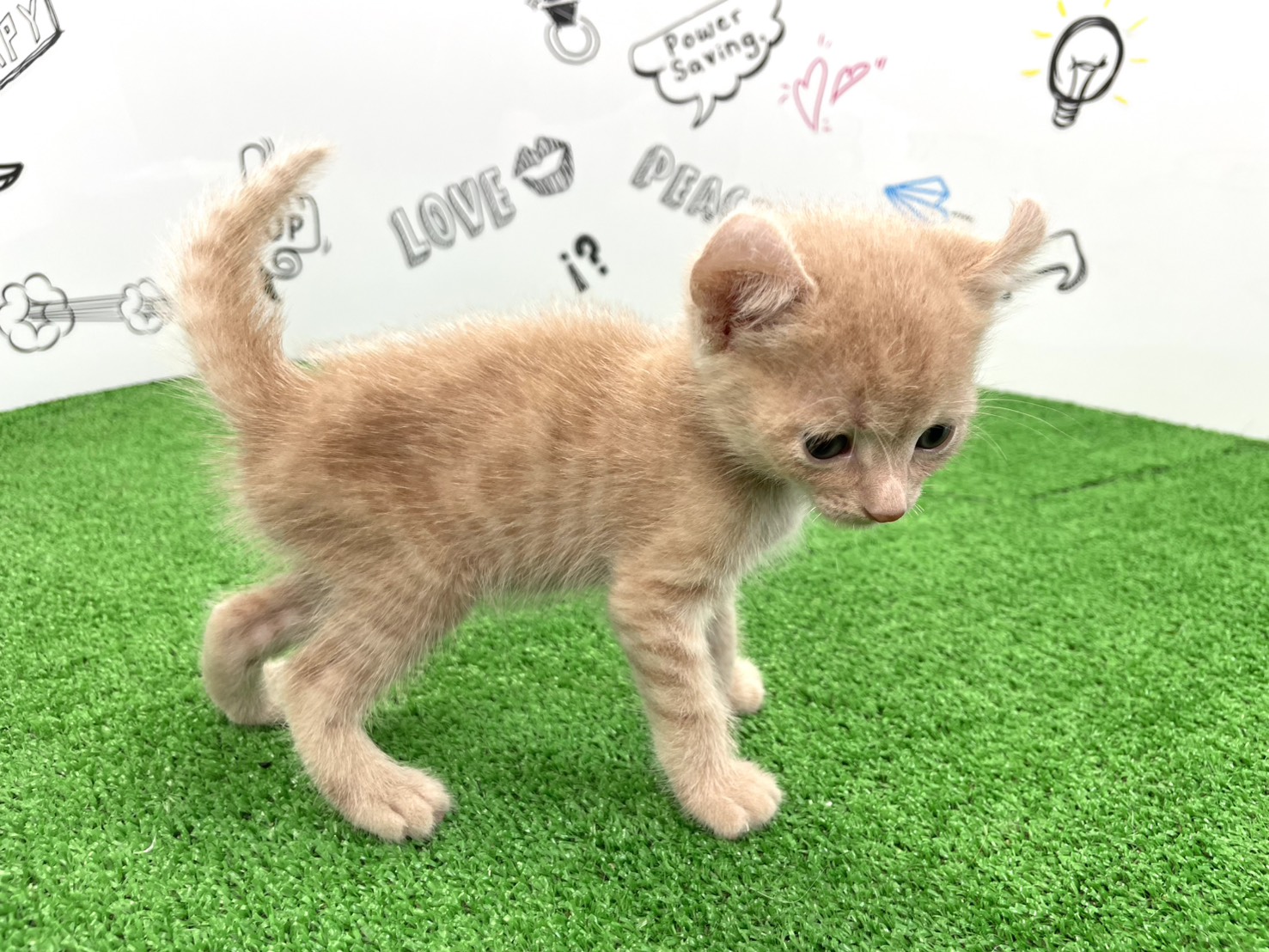 赤ちゃん写真2-2