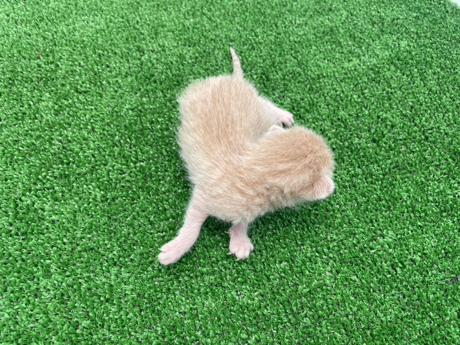 赤ちゃん写真1-3