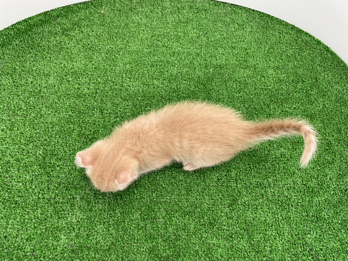 赤ちゃん写真2-3