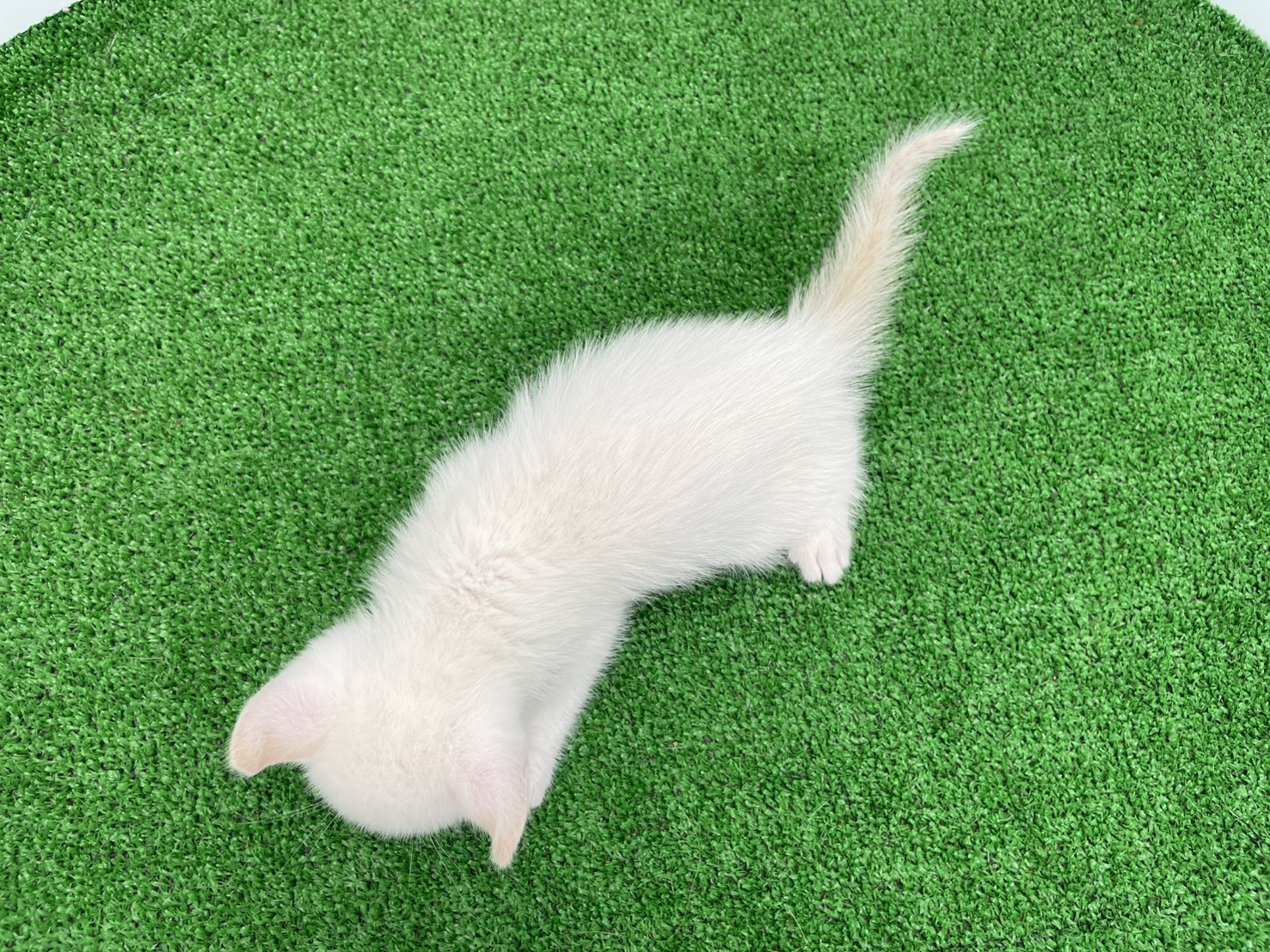 赤ちゃん写真2-3