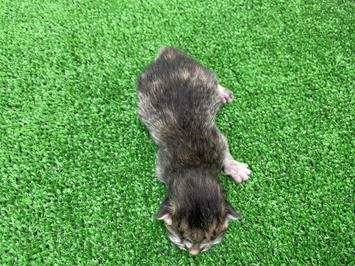 赤ちゃん写真1-3