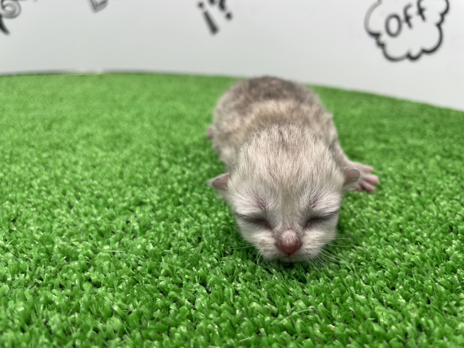 赤ちゃん写真1-1