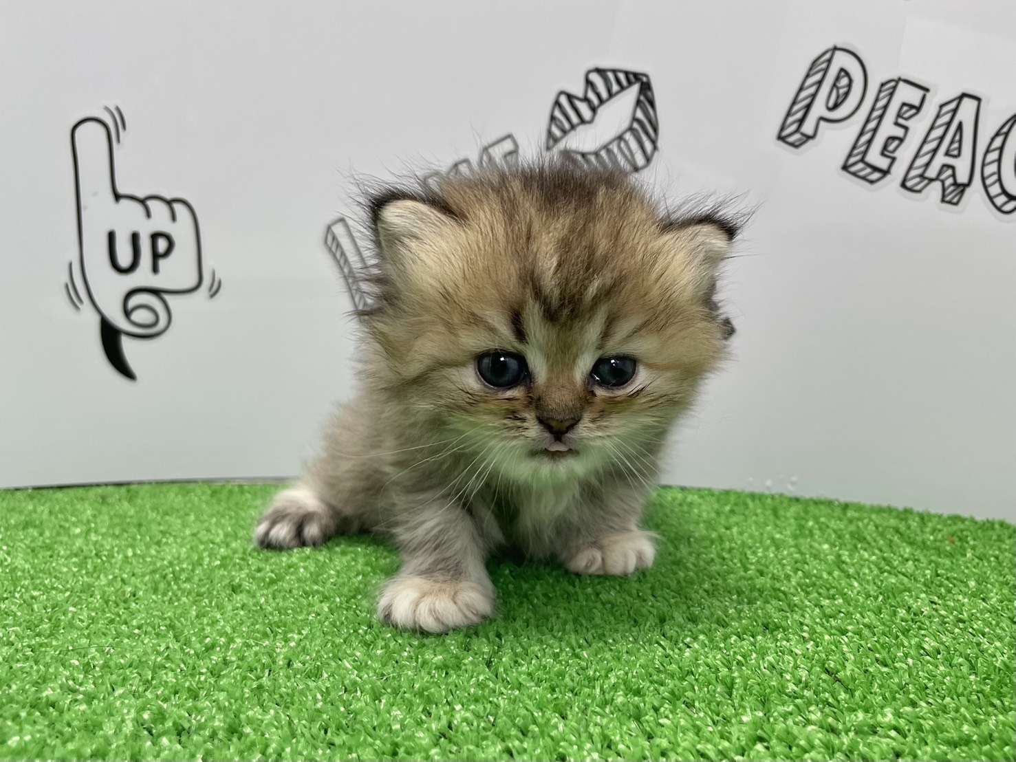 赤ちゃん写真2-1