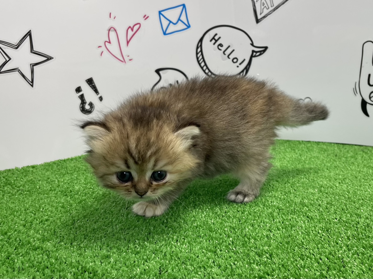 赤ちゃん写真2-2