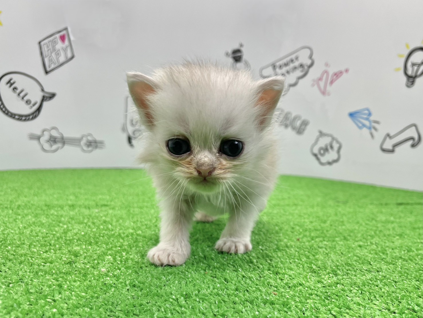 赤ちゃん写真2-1