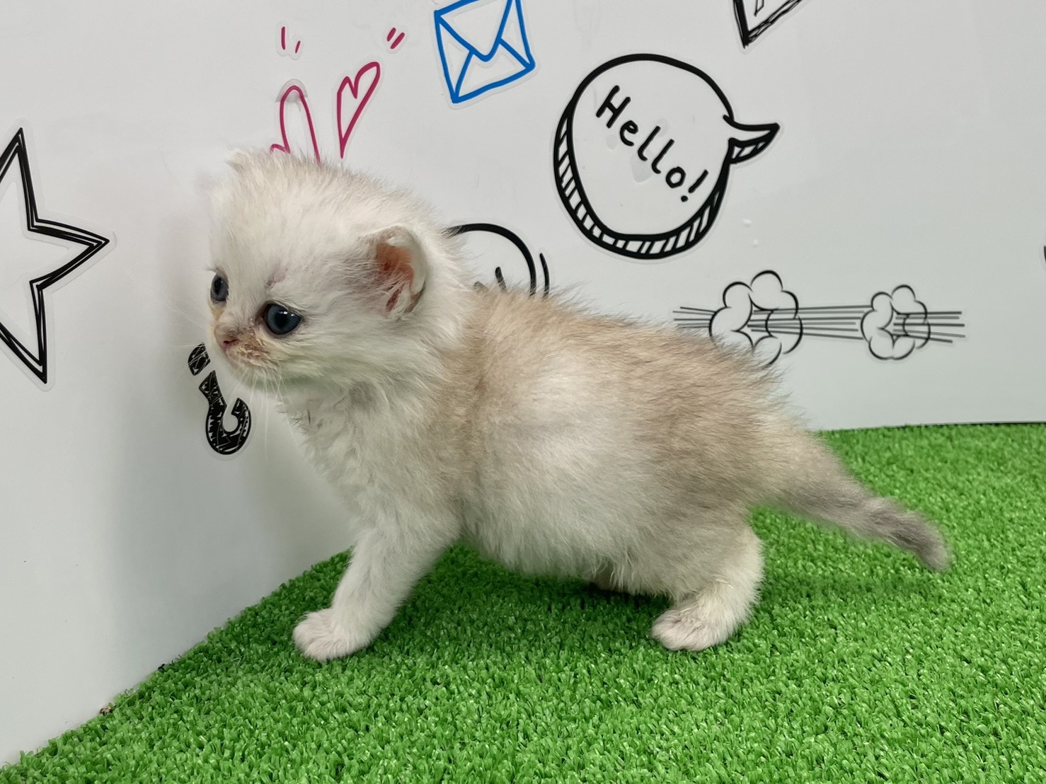 赤ちゃん写真2-2