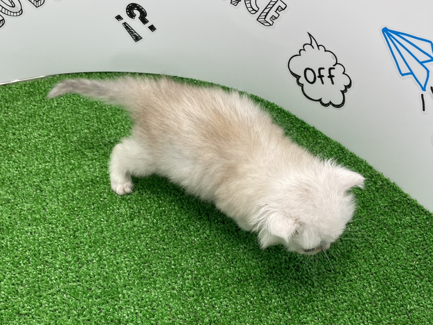 赤ちゃん写真2-3